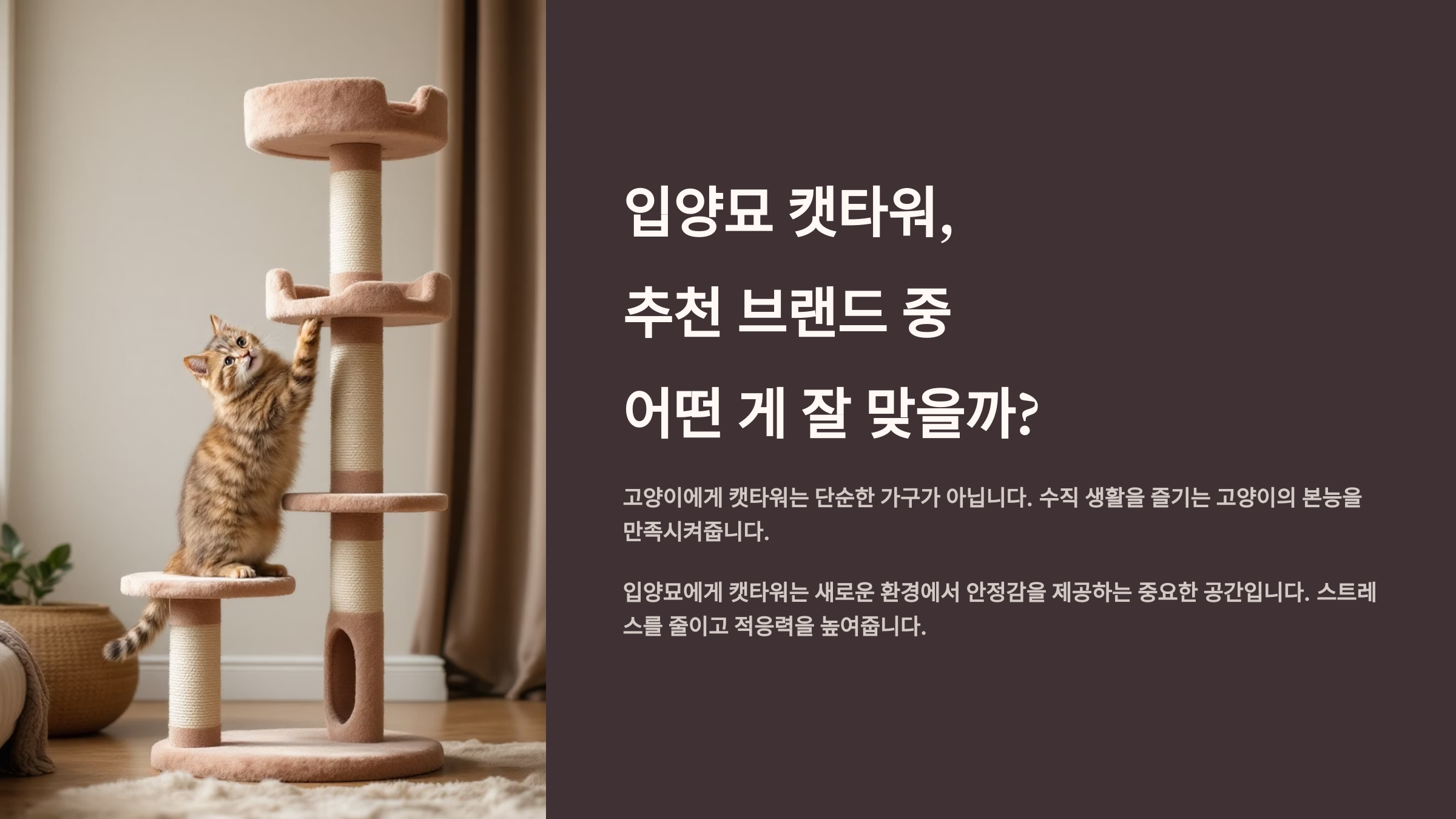 입양묘 캣타워, 추천 브랜드 중 어떤 게 잘 맞을까?