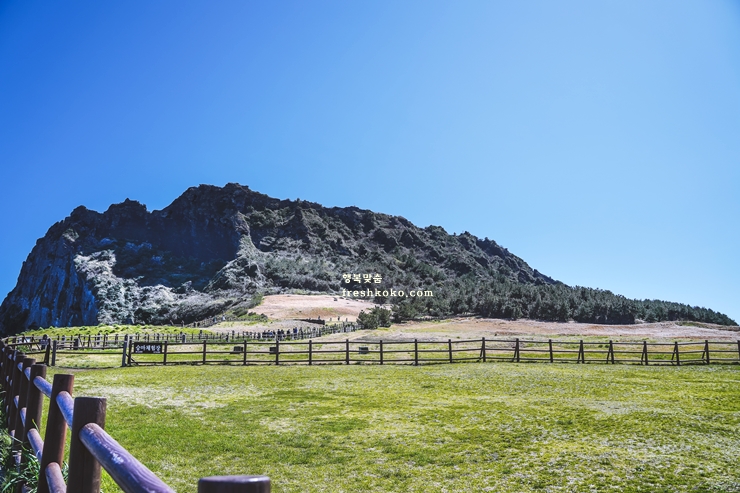 제주도 여행코스 2박 3일