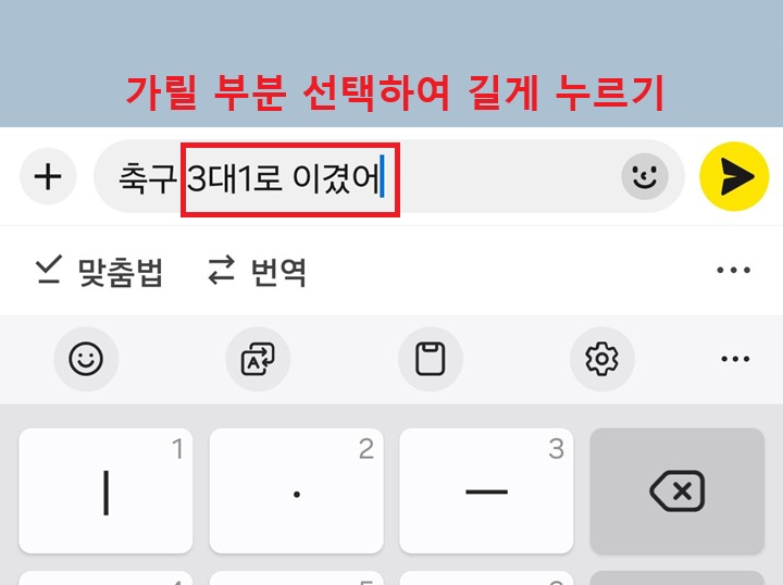 입력한 메시지 보임