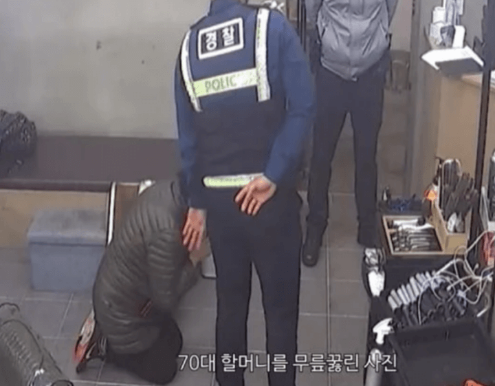 판다헤어-할머니-무릎꿇은모습-경찰