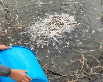 양평 산수유마을 빙어축제_19
