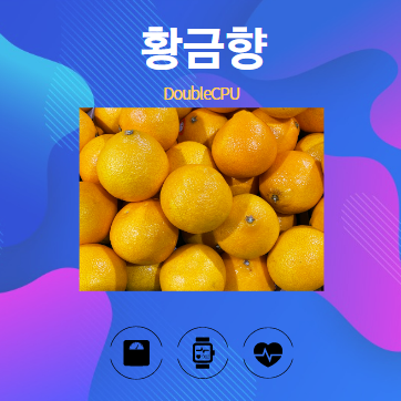 황금향 알아보기