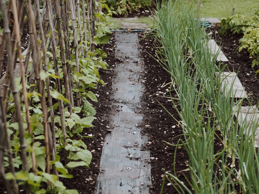 Self-sufficiency