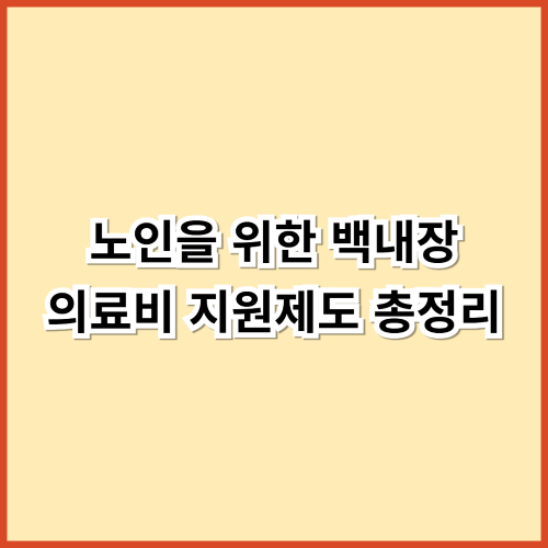 수술비 걱정 줄이기! 노인을 위한 백내장 의료비 지원제도 총정리