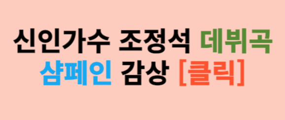 조정석 샴페인 노래 / 조정석 노래모음 / 조정석 배우에서 신인가수로 대변신