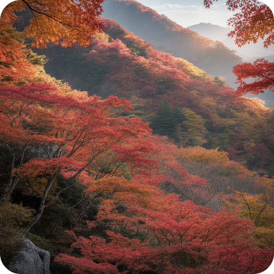 지리산 피아골 단풍축제 단풍절정시기 이미지