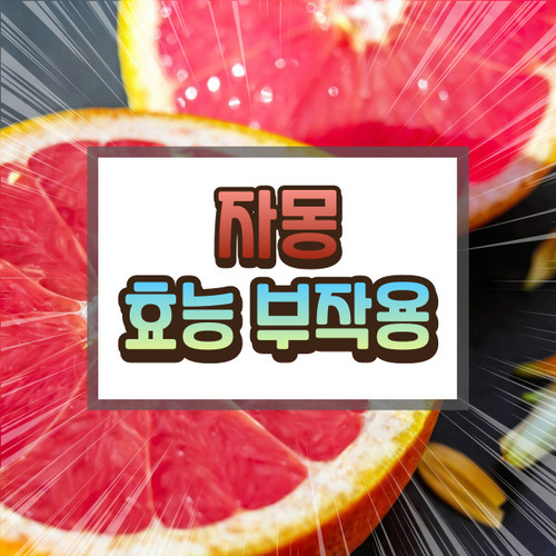 자몽 효능 부작용에 대하여