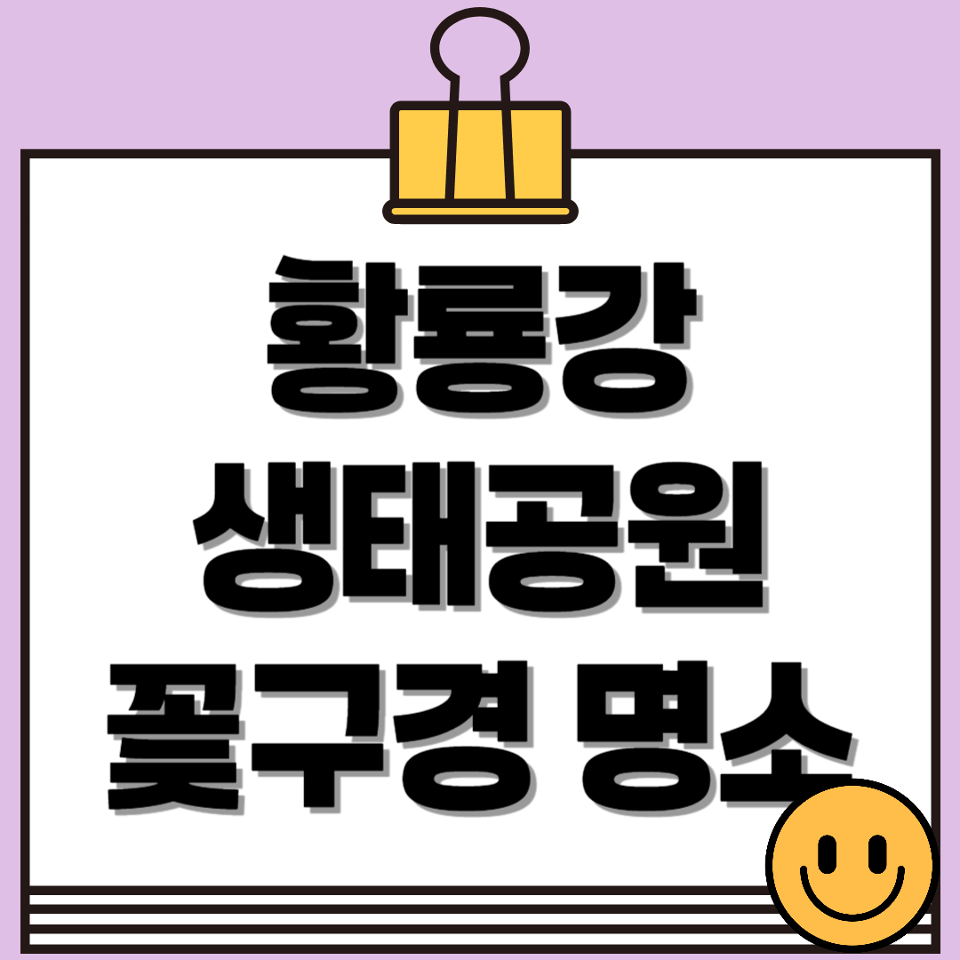 황룡강 생태공원 꽃구경 명소! 계절 따라 즐기는 화려한 꽃길