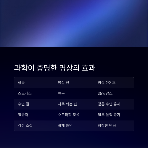 하루 10분, 뇌를 바꾸는 힘! 명상이 스트레스를 줄이는 과학적 이유