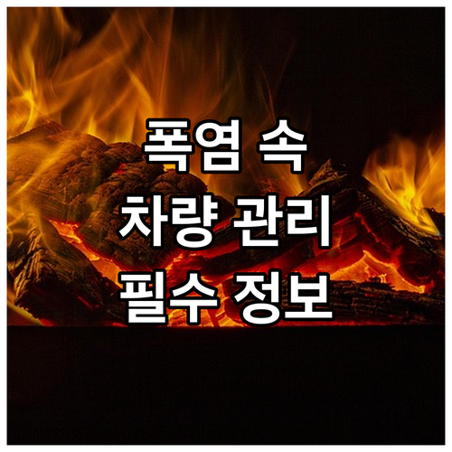 고온 속 안전 지키는 여름철 차량 관..