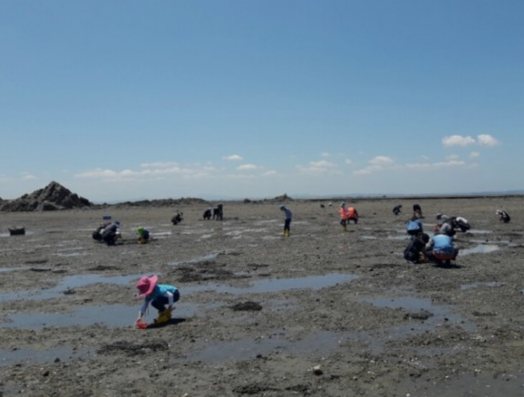 화성 뱃놀이 축제