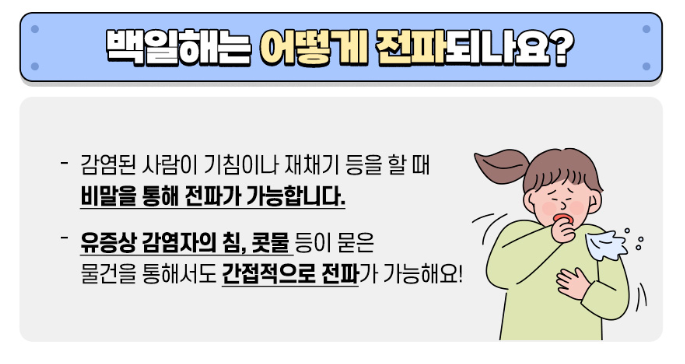 성인 백일해 전파경로 설명이미지