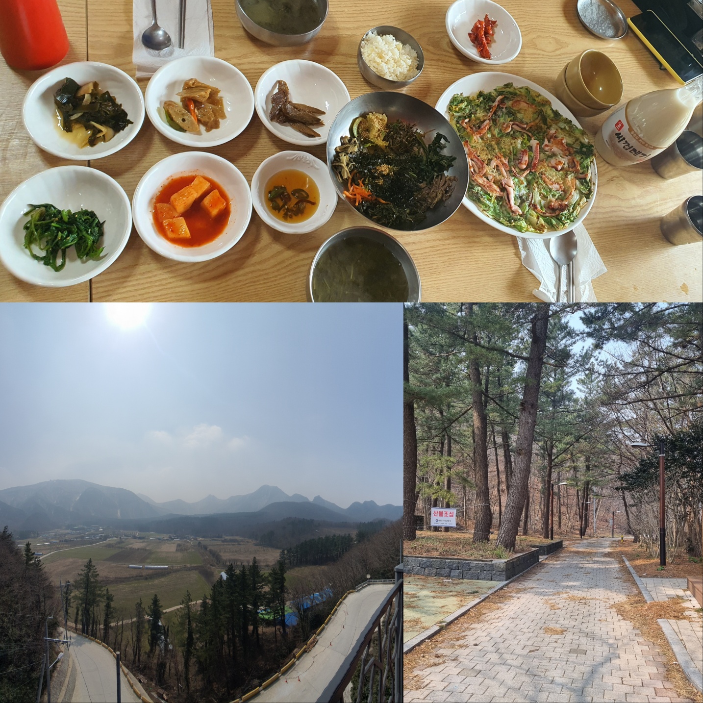 울릉도 나리분지 맛집 산마을식당