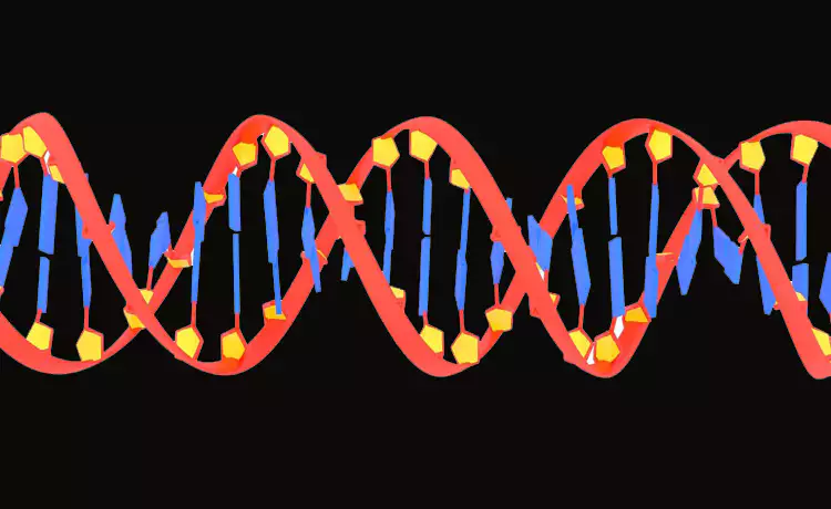 생명공학-설명-이미지-DNA