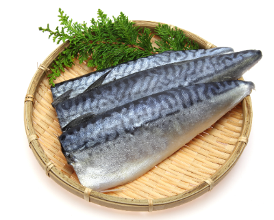 고등어의 영양과 효과 효능