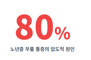 무릎 통증 원인