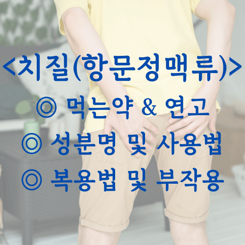 치질_먹는약_연고_성분명_사용법_부작용