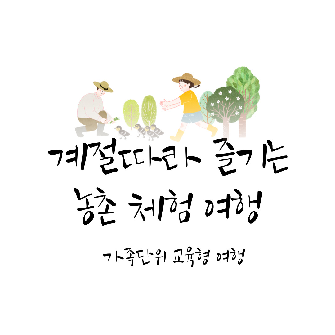계절 따라 즐기는 농촌 체험 여행 – 딸기 따기, 감 따기, 벼 베기 체험