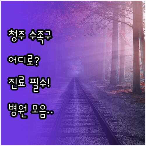 청주 상당구 수족구 병원 어디로 갈까..
