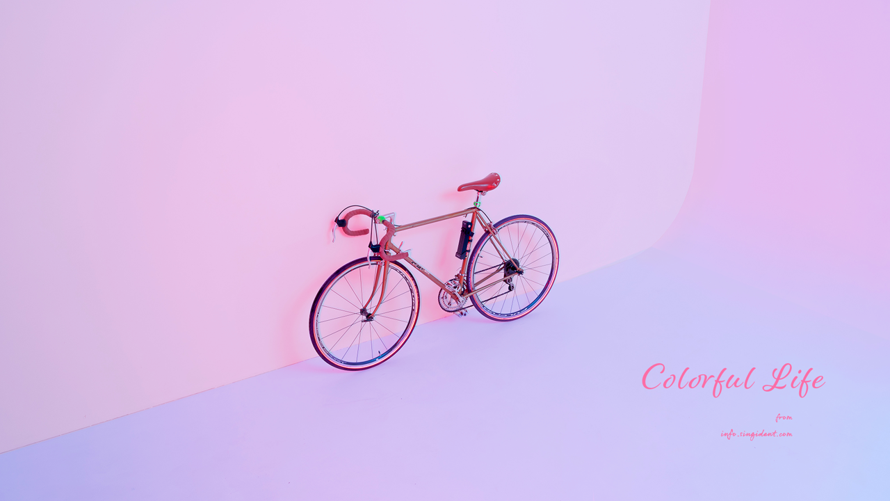 08 자전거 C - Colorful Life 핑크배경화면
