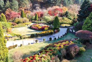 출처: 아침고요수목원 국화전시회 축제 이벤트