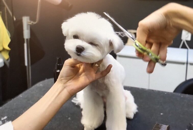 배우고 연구하고