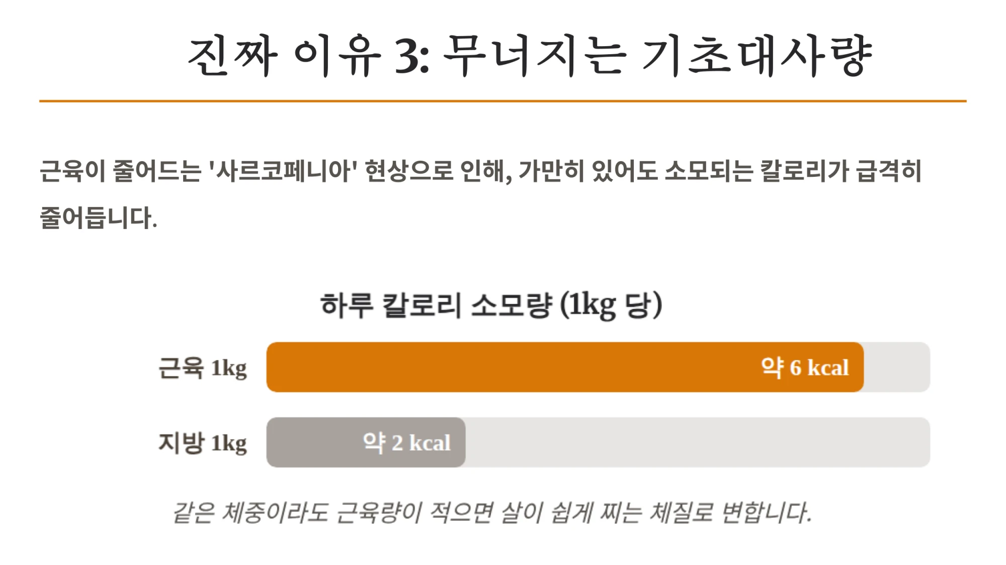 중년 뱃살의 원인인 세번째이유인 무너지는 기초대사량에대해 설명한 인포그래픽