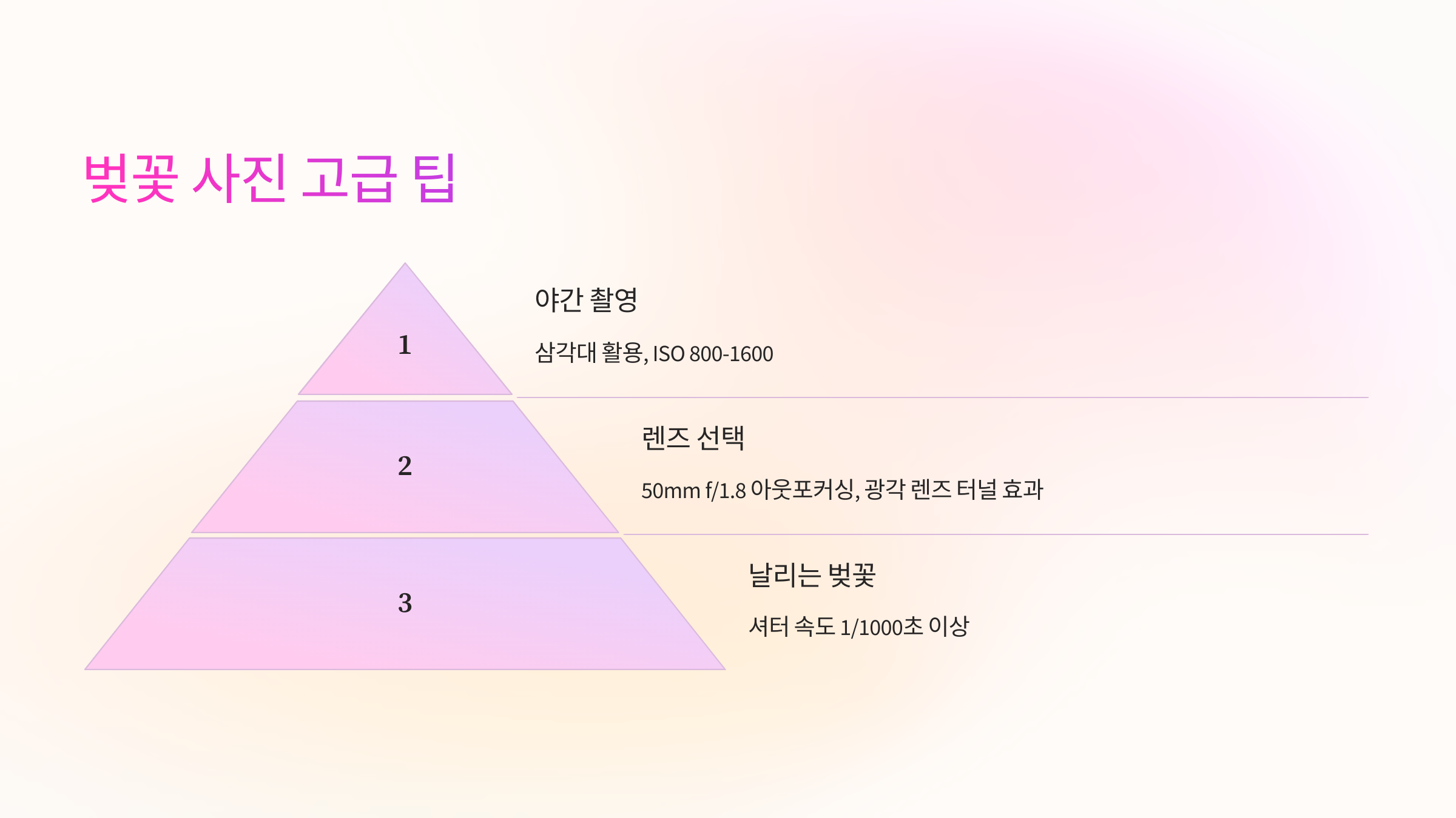 벚꽃 사진 고급 팁