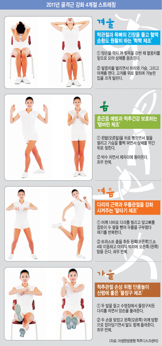 계절 별 스트레칭 전략, 사계절 변화 속 몸의 회복을 지키는 관리법