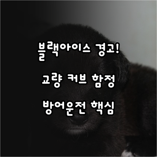 교량 커브길 위험 블랙 아이스 피하는..