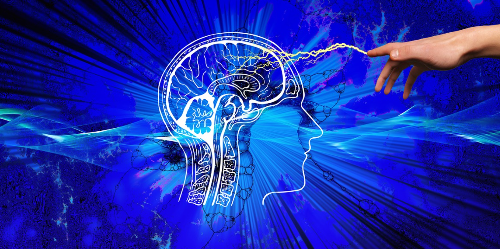 사람의 뇌 이미지