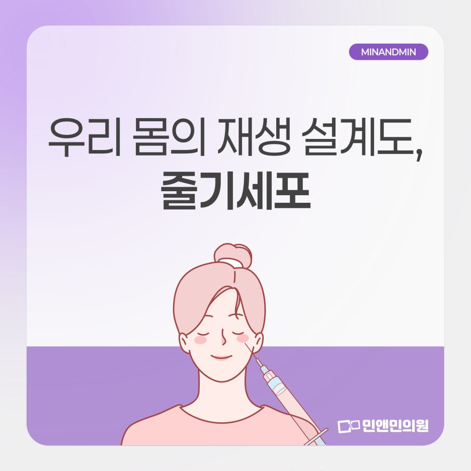 줄기세포주사 효과