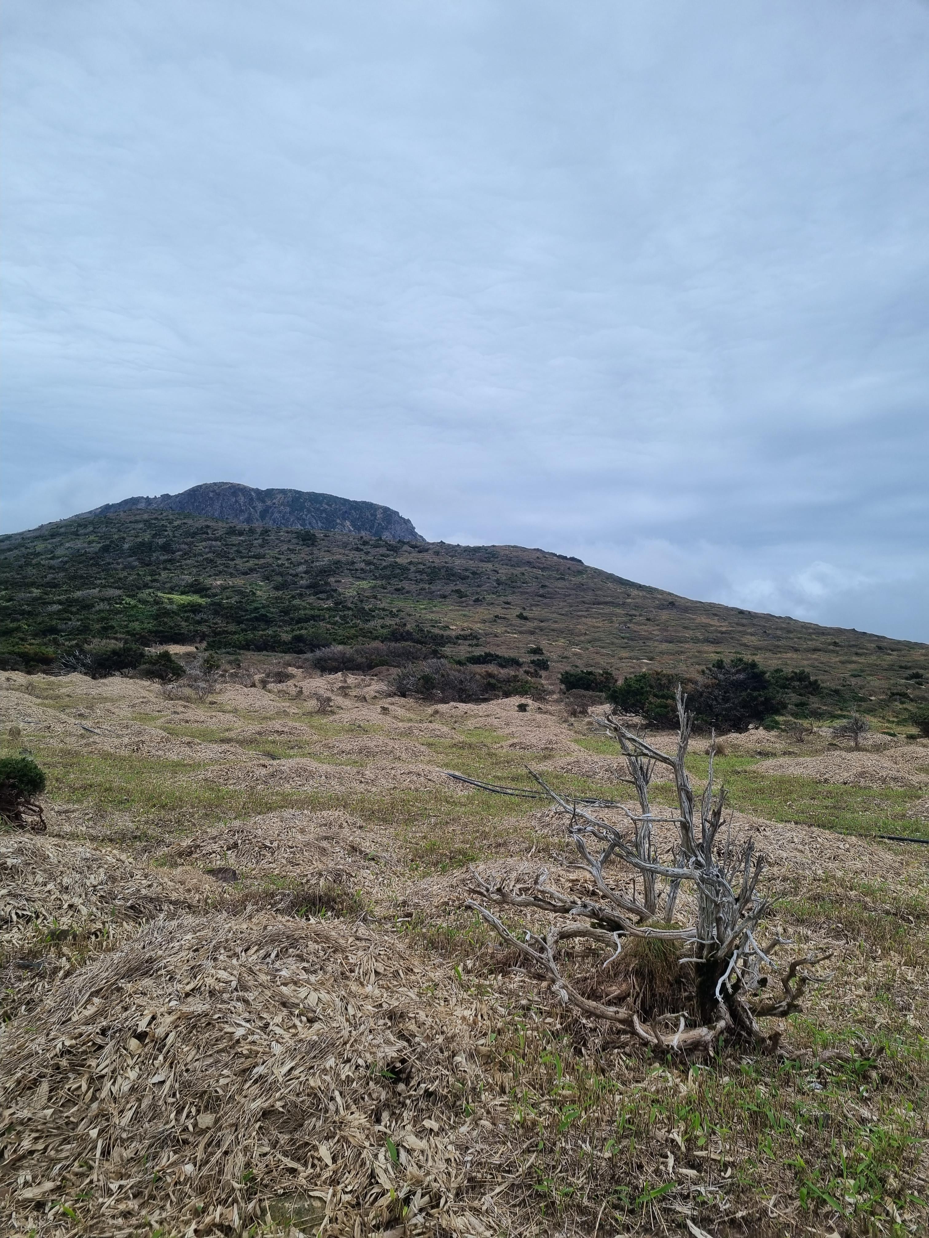 윗세오름 영실코스