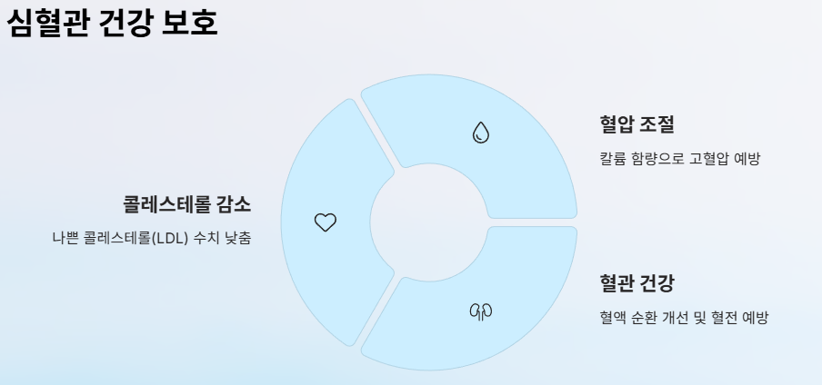 감식초 효능
