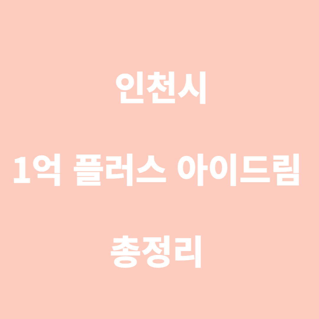 인천 1억 플러스 아이드림 총정리
