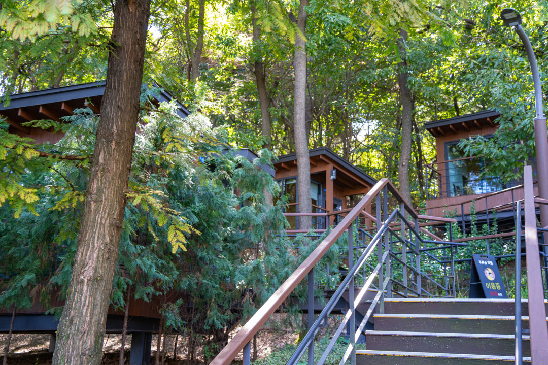 광교 푸른숲 도서관 푸른숲 책뜰