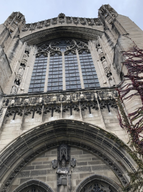 시카고 대학교 건축물 사진