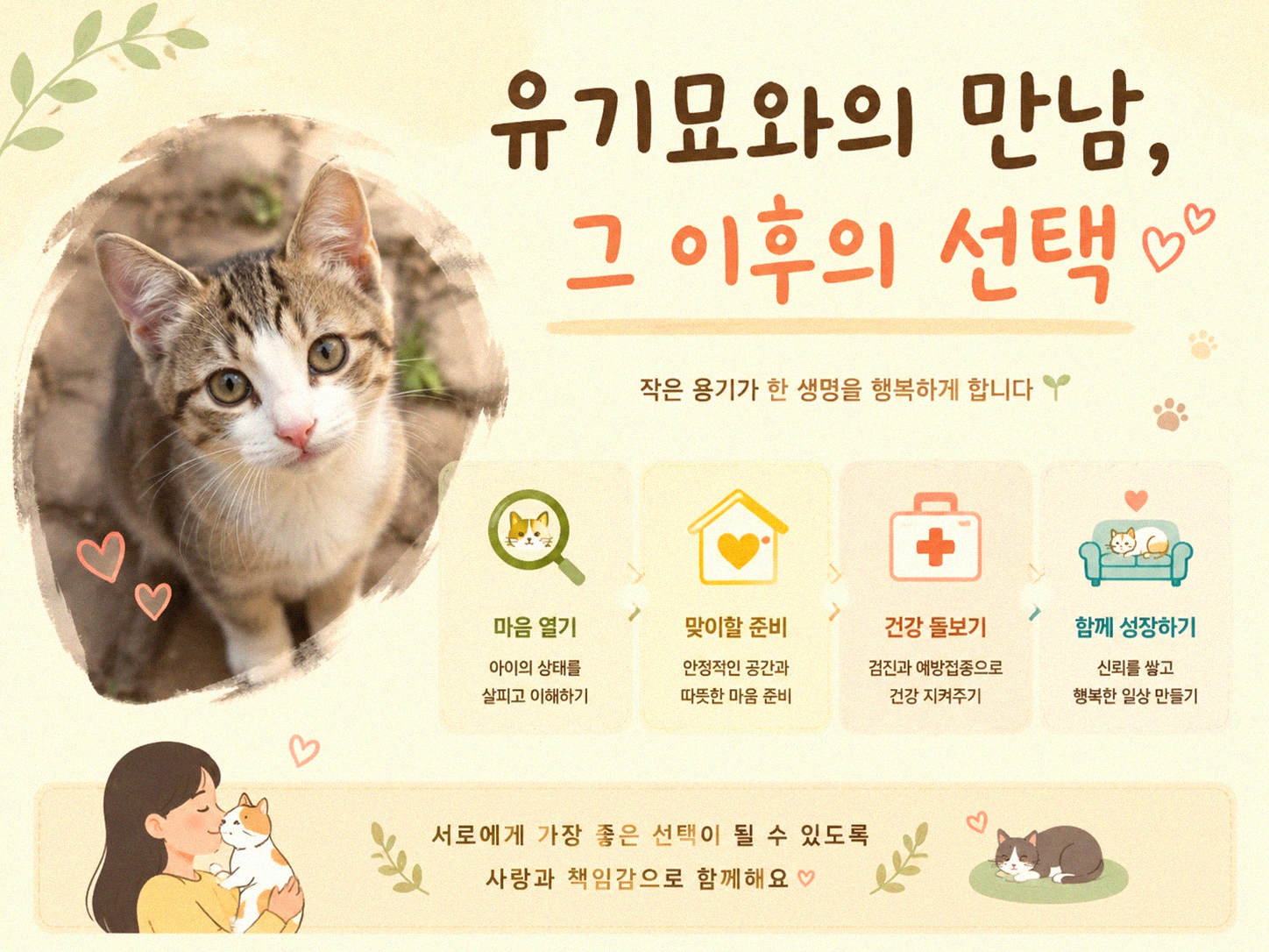 입양을 고민하는 당신에게, 유기묘가 주는 작은 변화들