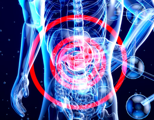 엉겅퀴 효능 : 간건강