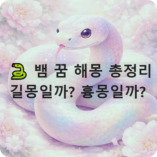 뱀 꿈 해몽