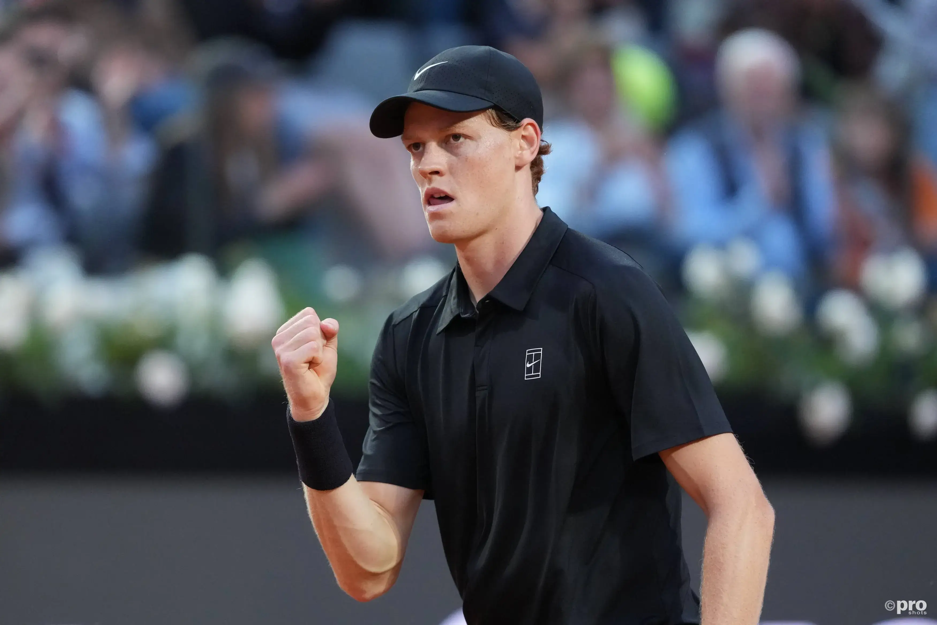 ATP 테라 보르트만 오픈(할레 오픈) 일정 대진표 출전선수 중계