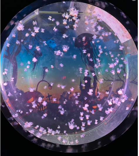 롯데월드 아쿠아리움