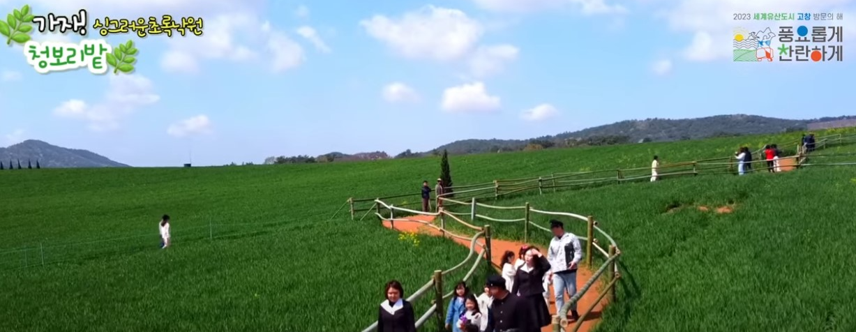 초록물결 음악노트 고창 청보리밭 축제여는 고창청보리밭축제위원회
초록물결 음악노트 고창 청보리밭 축제여는 고창청보리밭축제위원회