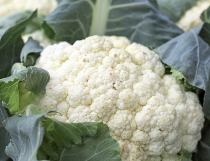 유방암에 좋은음식 6