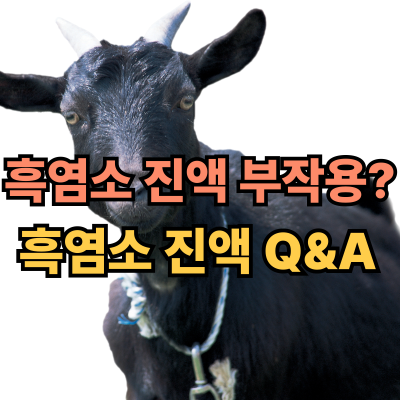 🐐 흑염소 진액이란? 효능부터 부작용까지 총정리!