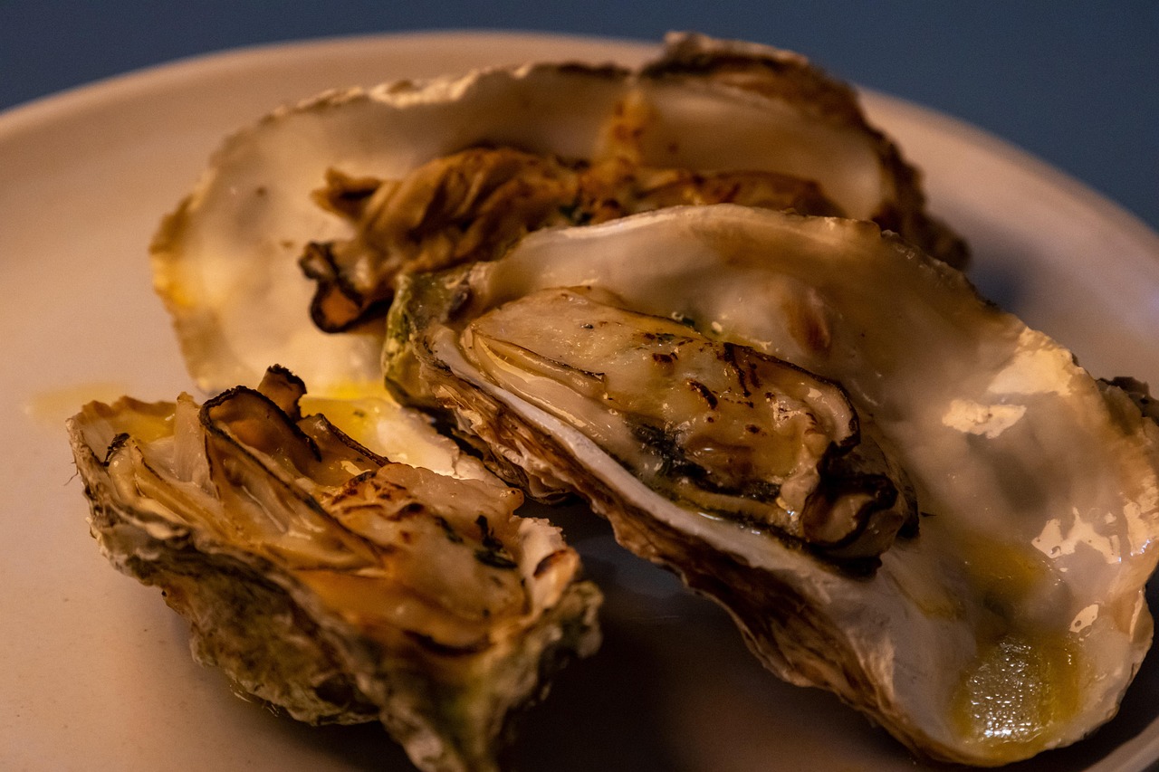 2026 수산대전 상품권