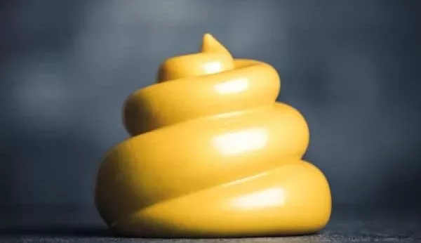 대변 색깔로 살펴보는 건강상태 5가지 녹색(초록색), 검은색, 회색변, 흰색변