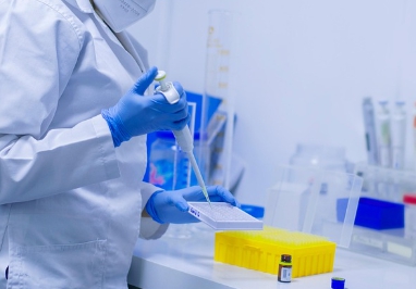 치매 예방 식단의 핵심: MIND 식단 + 당뇨·고혈압 맞춤형 식단표