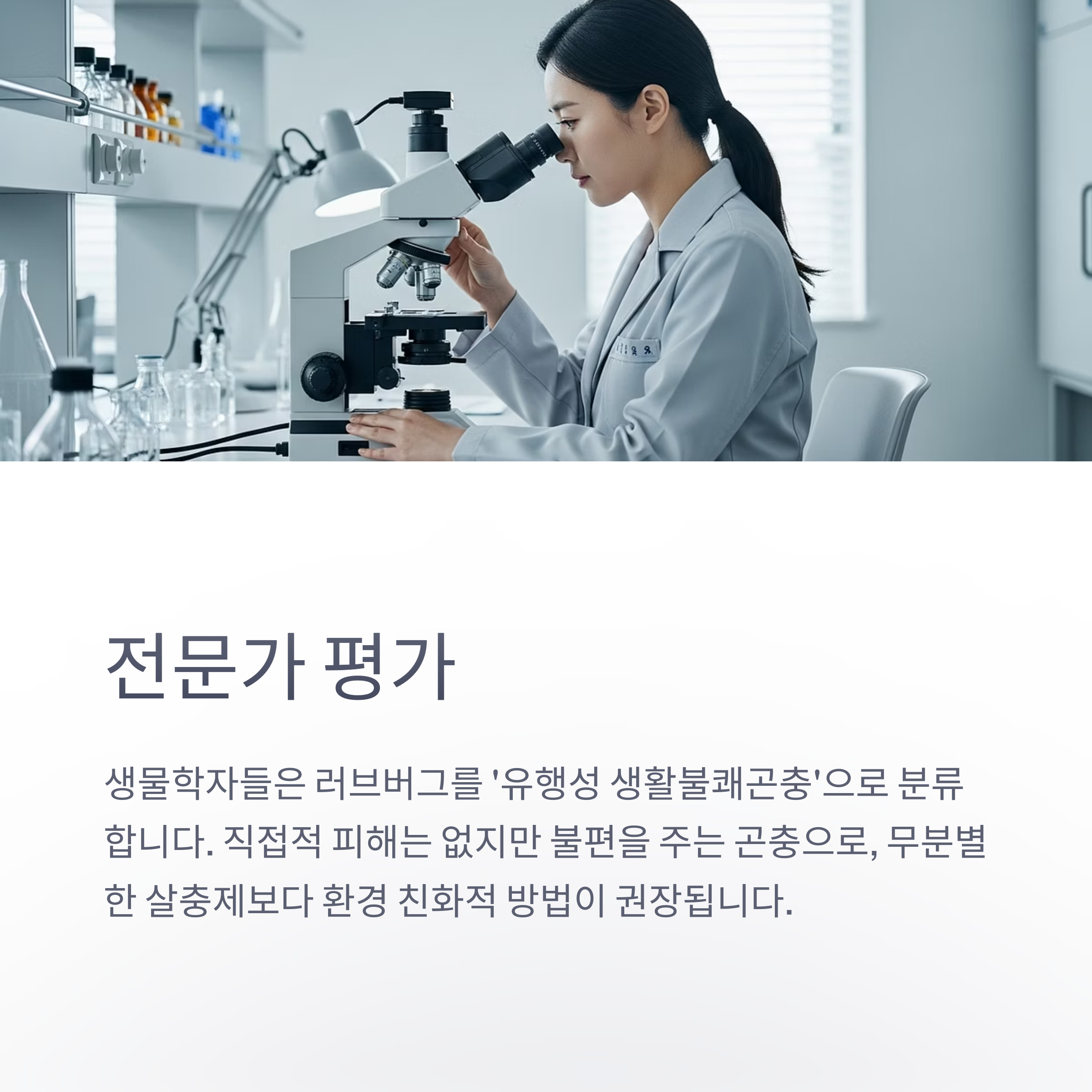전문가 평가