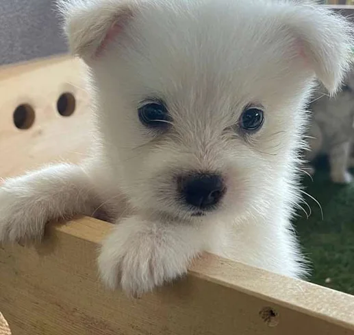 번덕뜰 체험농장